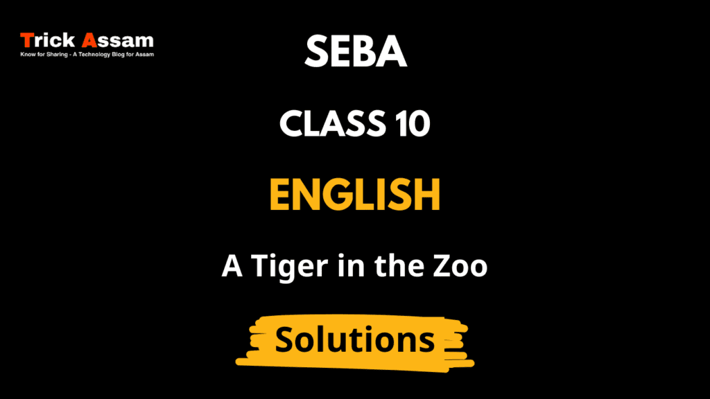 A Tiger in the Zoo