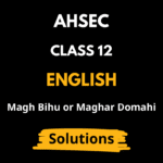 Magh Bihu or Maghar Domahi