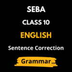 Sentence Correction