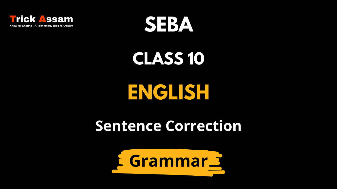 sentence-correction-class-10-english-grammar-seba