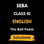 The Ball Poem