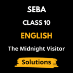 The Midnight Visitor