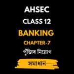 পুঁজিৰ নিয়োগ